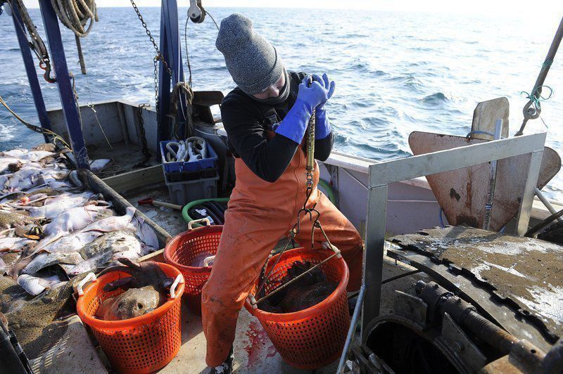 Managers still fishing for better monitor plan
